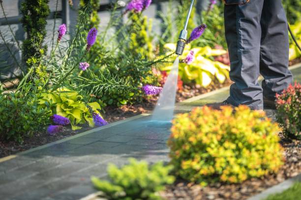 Reliable Castle Rock, CO Pressure Washing Services Solutions